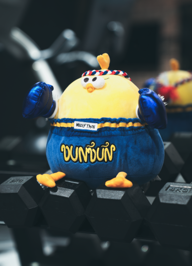 A closeup of the Saint Muay Thai Gym mascot, Jonathan