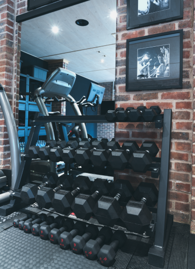 An assortment of different weights in the Saint Muay Thai Gym